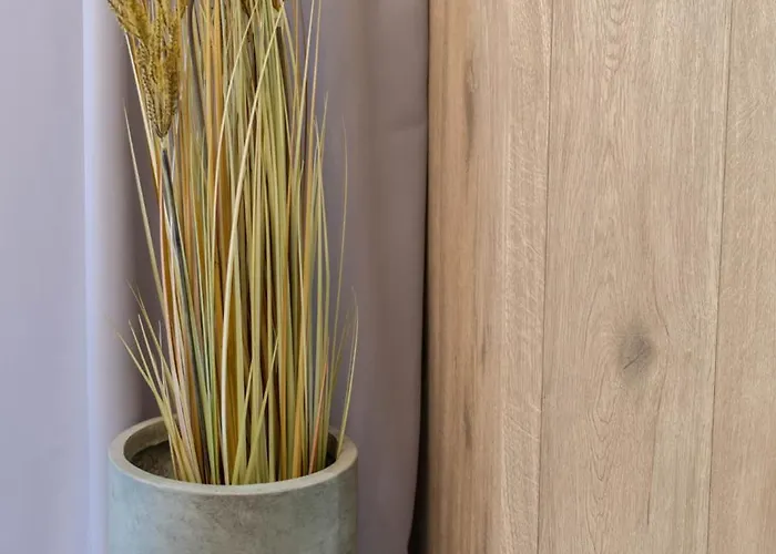 Rest In The Center Spot Apartamento